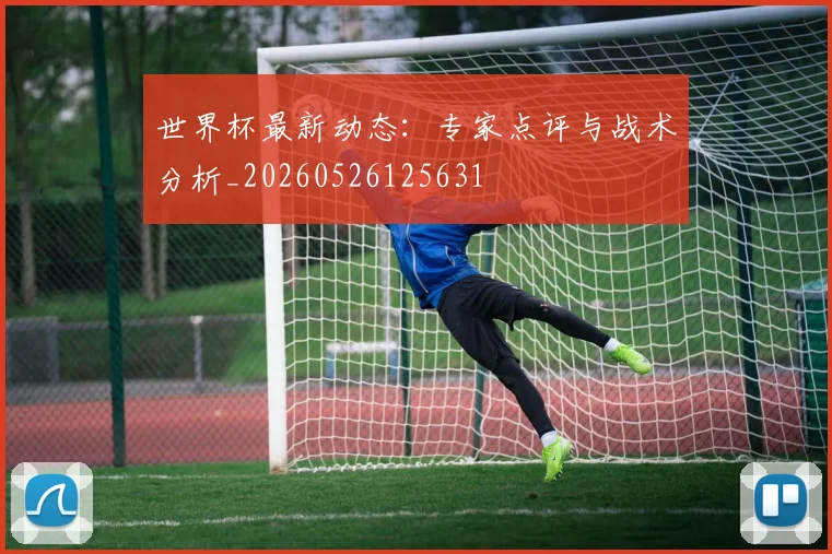 世界杯最新动态:专家点评与战术分析_20260526125631