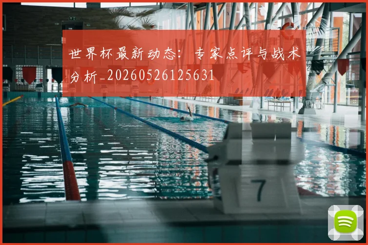 世界杯最新动态:专家点评与战术分析_20260526125631
